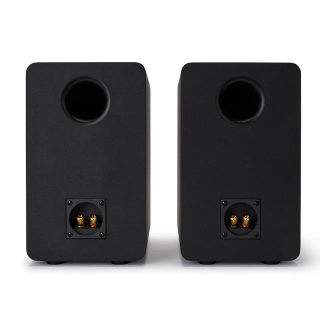 Reflexion - SP-A100 altavoz Negro Alámbrico 140 W