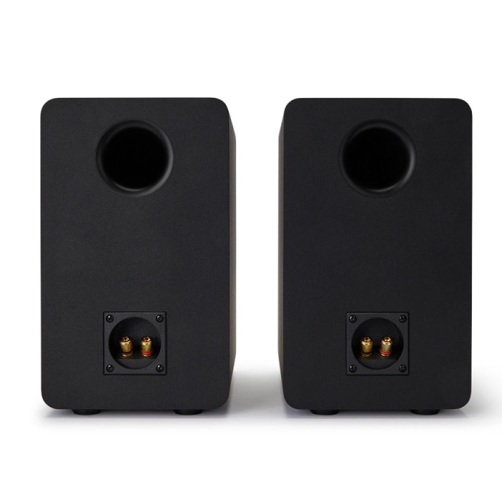 Reflexion - SP-A100 altavoz Negro Alámbrico 140 W