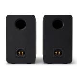 Reflexion - SP-A100 altavoz Negro Alámbrico 140 W