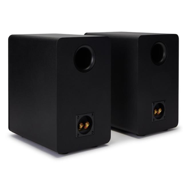 Reflexion - SP-A100 altavoz Negro Alámbrico 140 W