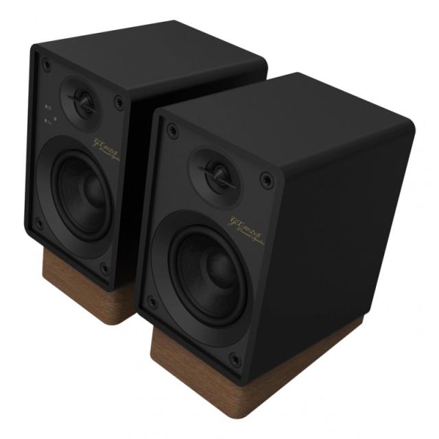 ONKYO - GX-10DB De 2 vías Negro Inalámbrico y alámbrico 30 W