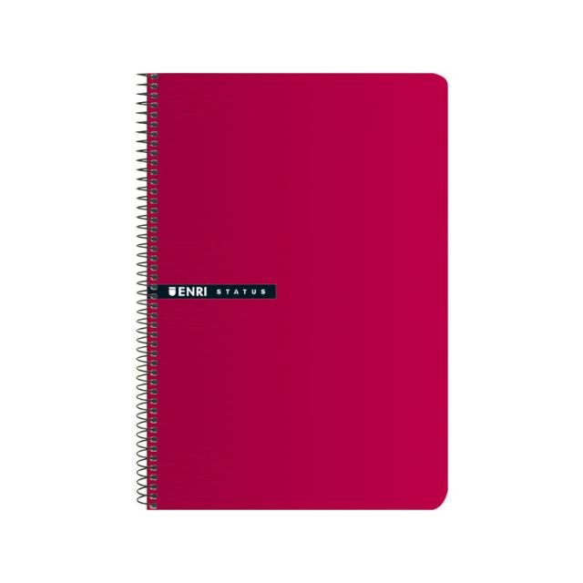 ENRI - ENR CUADERNO Fº 4X4 100H RO 10 100435749