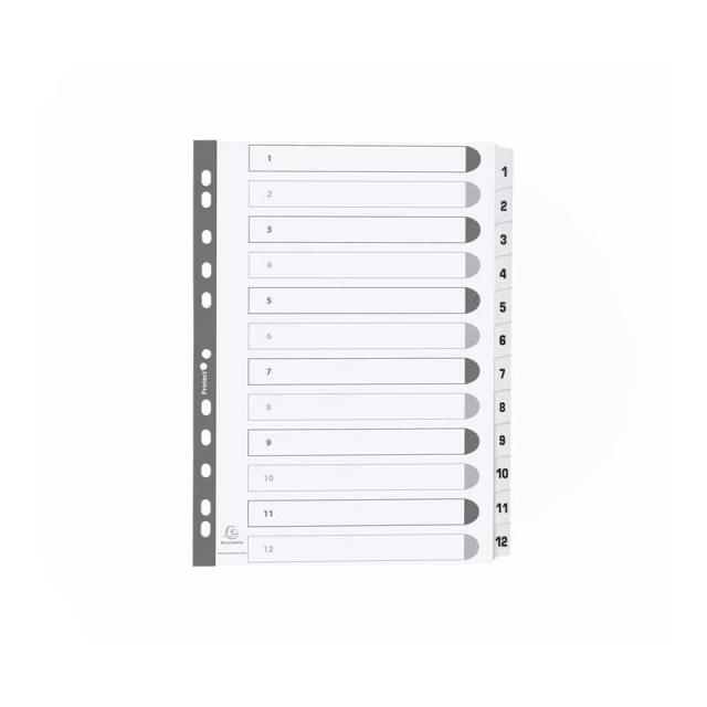 Exacompta - SEPARAD. EXACOMPTA A4 1-12 CARTULINA BL MWD1-12Z