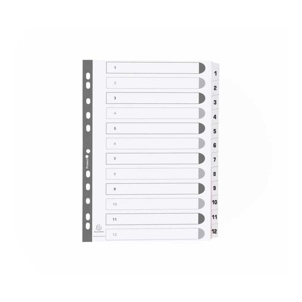 Exacompta - SEPARAD. EXACOMPTA A4 1-12 CARTULINA BL MWD1-12Z