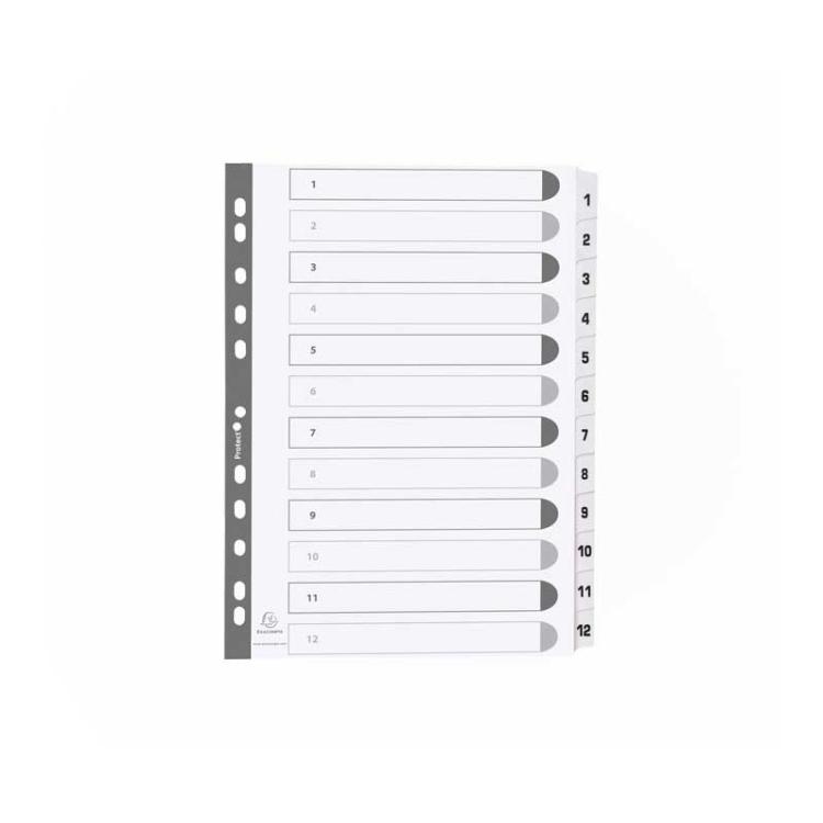 Exacompta - SEPARAD. EXACOMPTA A4 1-12 CARTULINA BL MWD1-12Z