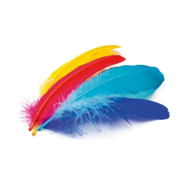 Niefenver - B.50U PLUMAS INDIO NIEFENVER 6 COLOR. STDO 0900208
