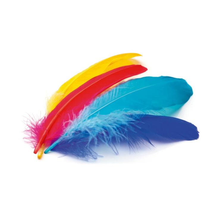 Niefenver - B.50U PLUMAS INDIO NIEFENVER 6 COLOR. STDO 0900208