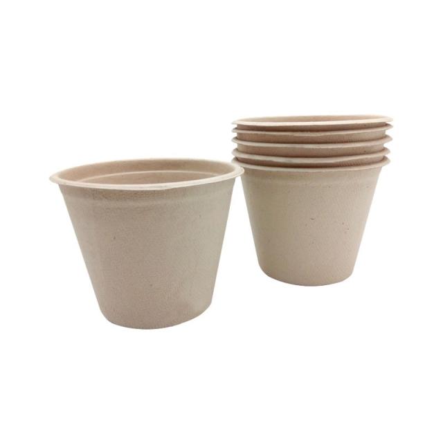 Niefenver - PACK 5UN MACETERO CELULOSA NIEFENVER 425ML 1500122