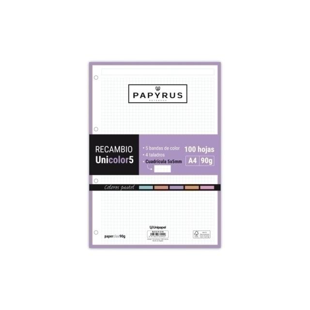 Papyrus - RECAMBIO PAPYRUS A4 100h MULTIT.CD.5 PAS - Pack de 24 unidades