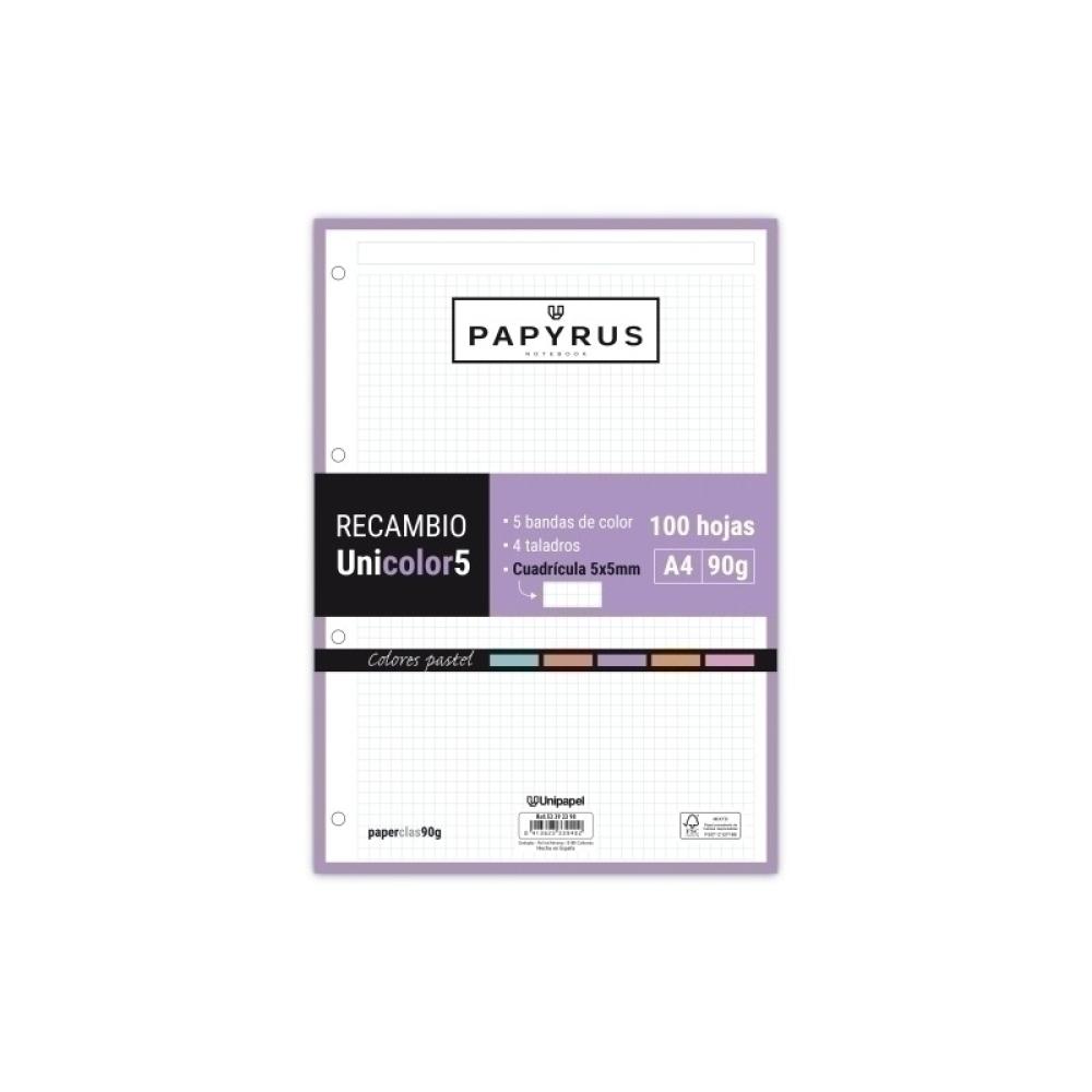 Papyrus - RECAMBIO PAPYRUS A4 100h MULTIT.CD.5 PAS - Pack de 24 unidades