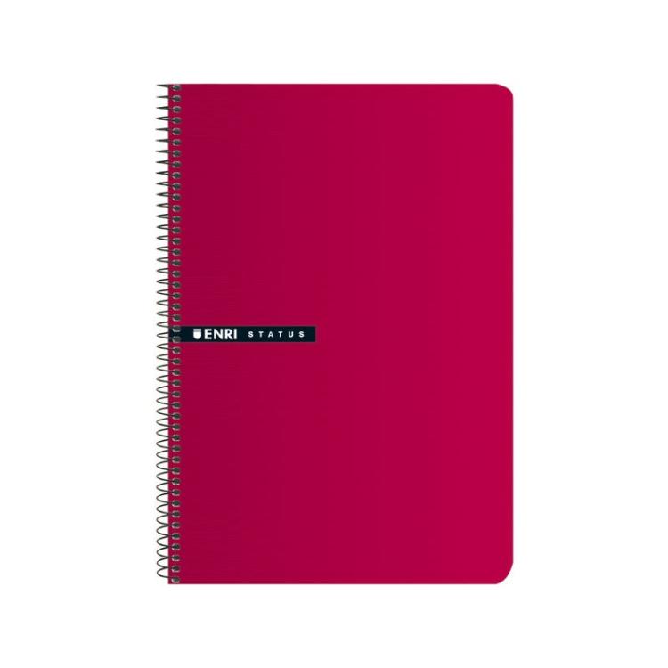 ENRI - ENR CUADERNO Fº 4X4 100H RO 10 100435749 Pack 5 Unid