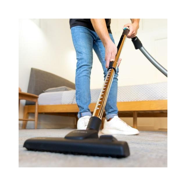 Cecotec - Conga Powerbag 2500 Plus 2,5 L Aspiradora de tambor Secar 850 W Bolsa para el polvo