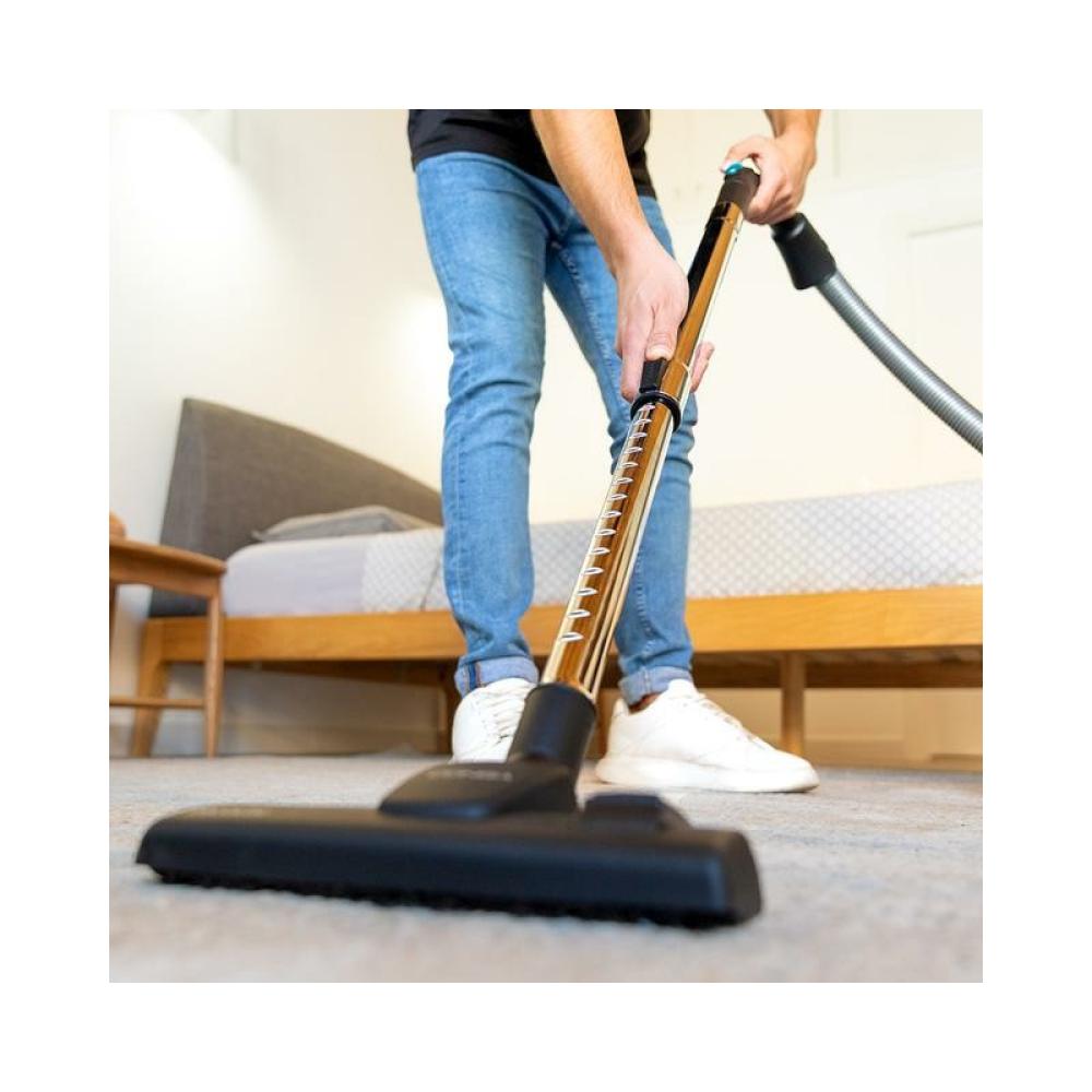 Cecotec - Conga Powerbag 2500 Plus 2,5 L Aspiradora de tambor Secar 850 W Bolsa para el polvo