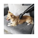 Cecotec - Conga Immortal Extreme Suction 22,2 Animal Hand aspiradora de mano Negro Sin bolsa