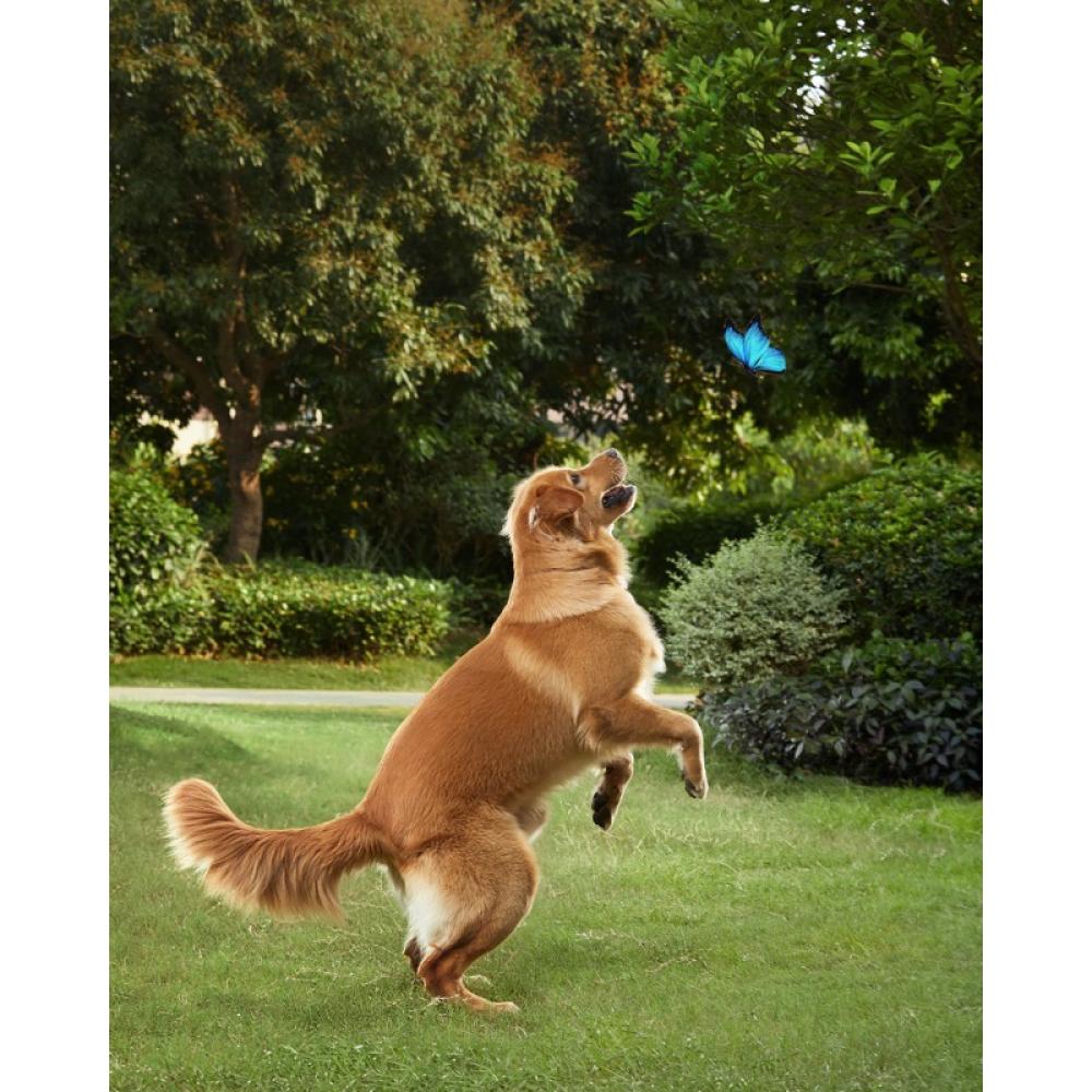 Eufy - Solocam S40 Caja Cámara de seguridad IP Interior y exterior 2048 x 1080 Pixeles Pared