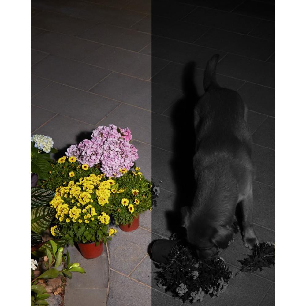 Eufy - Solocam S40 Caja Cámara de seguridad IP Interior y exterior 2048 x 1080 Pixeles Pared