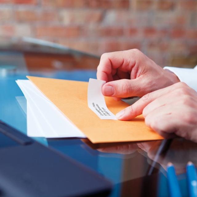 DYMO - LW etiquetas auténticas multiusos/de dirección del remitente / 19 mm × 51 mm /12 rollos de 500 etiquetas con reverso fáci