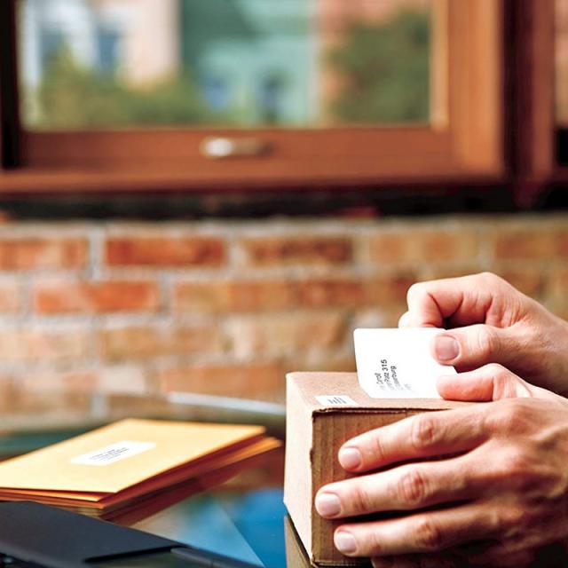 DYMO - LW etiquetas auténticas de tarjeta de identificación pequeñas / 41 mm × 89 mm / 12 rollos de 300 etiquetas con reverso fá