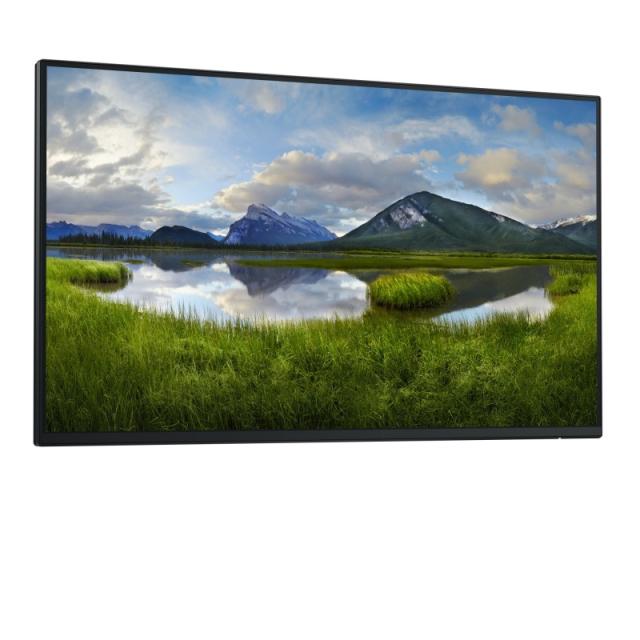 DELL - Pro Plus P2425HE_WOST pantalla para PC 61 cm (24") 1920 x 1080 Pixeles Full HD LCD Negro