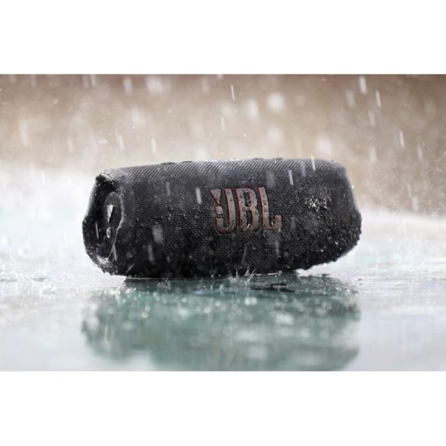 JBL - CHARGE 5 Altavoz portátil estéreo Gris 30 W