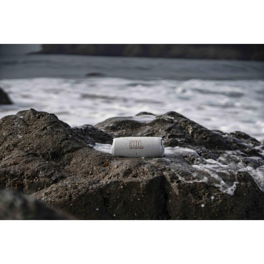 JBL - CHARGE 5 Altavoz portátil estéreo Gris 30 W