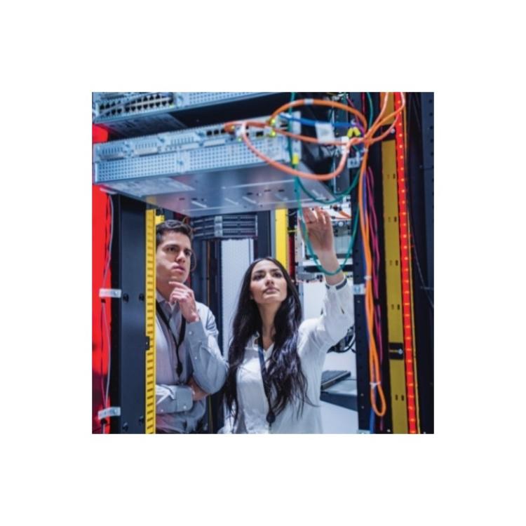 APC - W1YONSITENBD-SP-02 extensión de la garantía