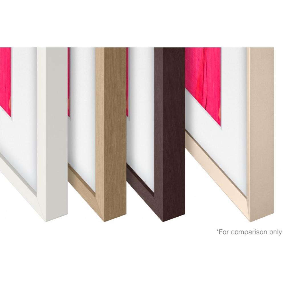 Samsung - VG-SCFF65TKBXC accesorio para televisor