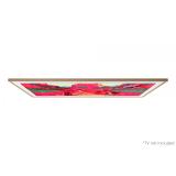 Samsung - VG-SCFF65TKBXC accesorio para televisor