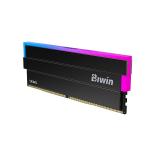Biwin - BXL54860DW1-D28FB módulo de memoria 48 GB 2 x 24 GB DDR5 6000 MT/s