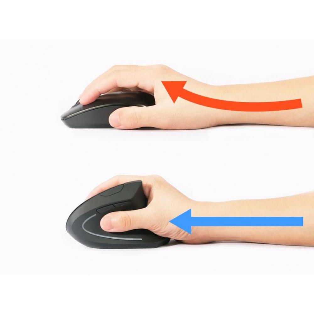 Equip - 245110 ratón mano derecha RF inalámbrico Óptico 1600 DPI