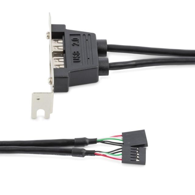 StarTech.com - Cabezal Bracket Perfil Bajo de 2 puertos USB 2.0 con conexión a Placa Base 2x IDC5 - Low Profile