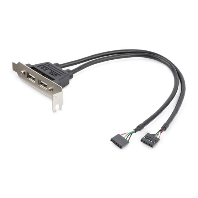 StarTech.com - Cabezal Bracket Perfil Bajo de 2 puertos USB 2.0 con conexión a Placa Base 2x IDC5 - Low Profile