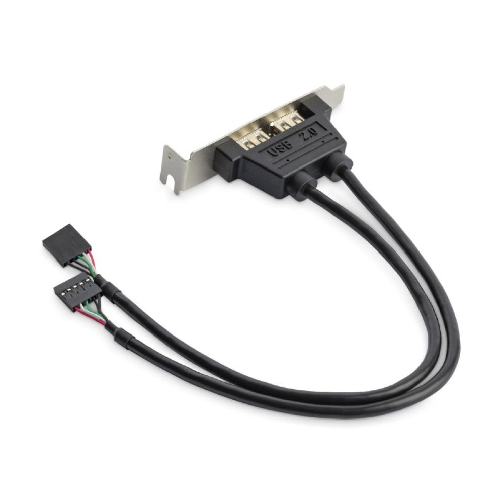StarTech.com - Cabezal Bracket Perfil Bajo de 2 puertos USB 2.0 con conexión a Placa Base 2x IDC5 - Low Profile