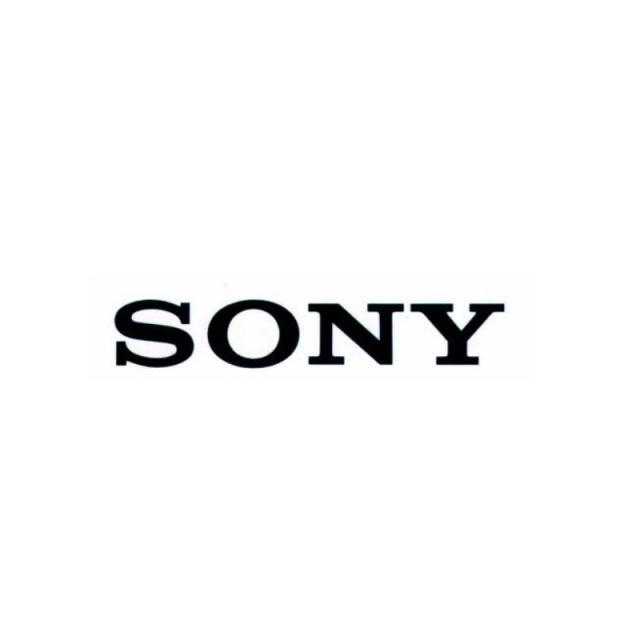 Sony - Professional SRGL-4K licencia y actualización de software 1 licencia(s)