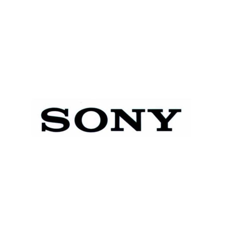 Sony - Professional SRGL-4K licencia y actualización de software 1 licencia(s)