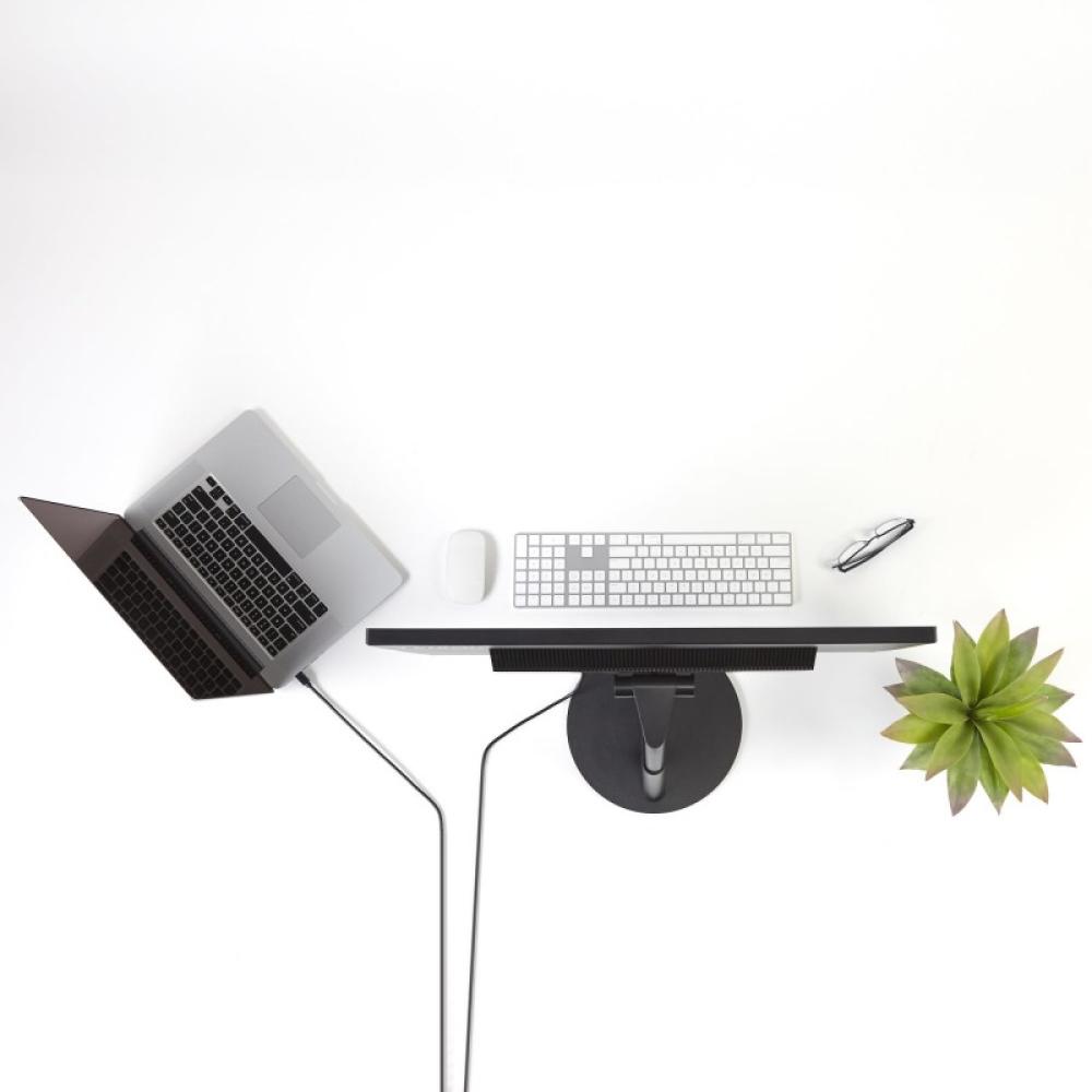 StarTech.com - Cable de 1,8m Mini DisplayPort a DisplayPort 1.2 - Cable Adaptador Mini DisplayPort a DisplayPort 4K x 2K UHD - C