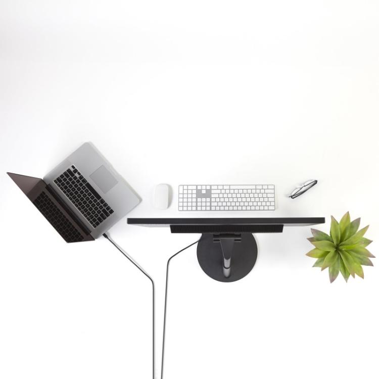 StarTech.com - Cable de 1,8m Mini DisplayPort a DisplayPort 1.2 - Cable Adaptador Mini DisplayPort a DisplayPort 4K x 2K UHD - C