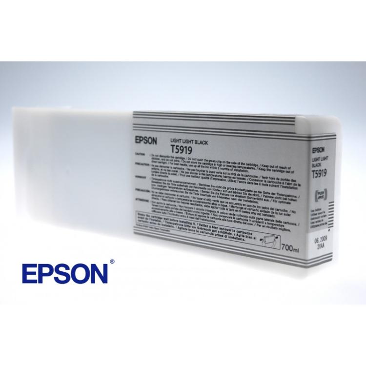 Epson - Cartucho T591900 gris claro