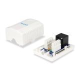 Equip - 235113 caja de tomacorriente RJ-45 Blanco
