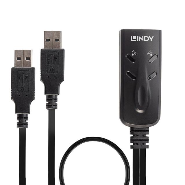 Lindy - 32165 interruptor KVM Negro