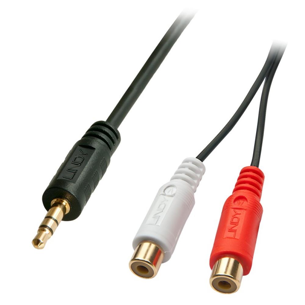 Lindy - 35678 cable de audio 0,25 m 2 x RCA 3,5mm Negro, Rojo, Blanco
