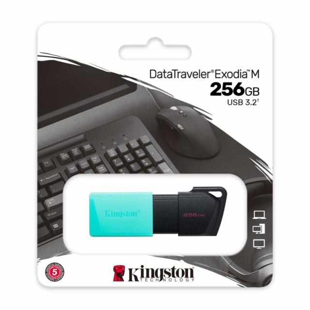 Kingston Technology - DataTraveler 256GB USB3.2 Gen1 Exodia M (Negro + Turquesa)