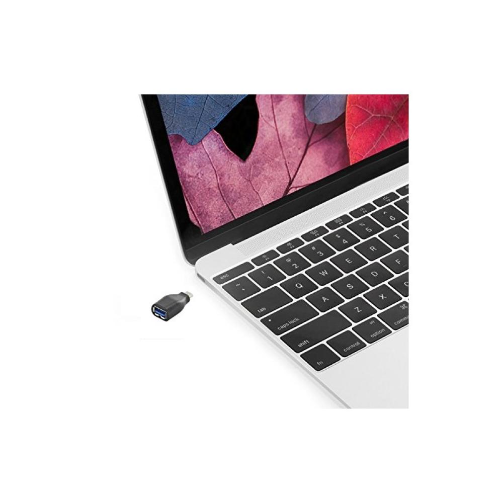 Ewent - EW-100518-000-N-P cable gender changer USB 3.1 Type C USB 3.1 Type A Negro