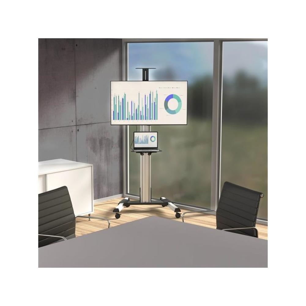 StarTech.com - Carro de Transporte para Televisor de 32 a 70 Pulgadas - Carrito AV Móvil Mesa Rodante para TV VESA con Ajuste de