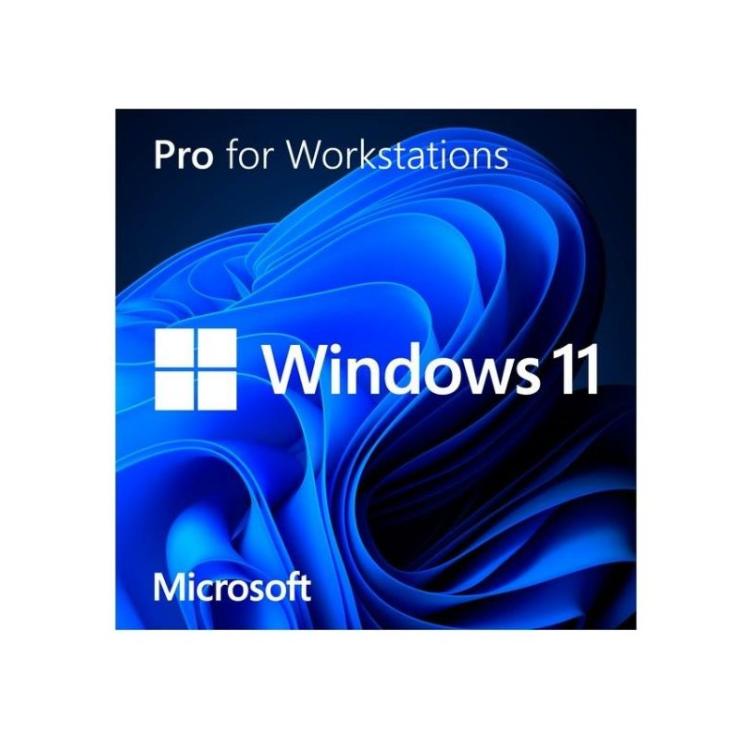 Microsoft - WINDOWS 11 HOME N TO PRO N UPGRADE