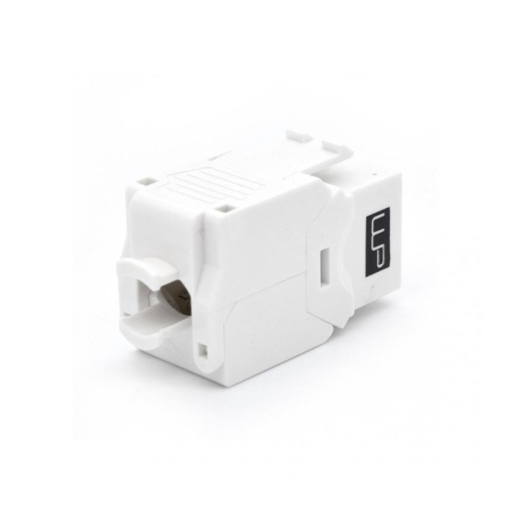 WP - WPC-KEY-6AUP-TL/W módulo de conector de red