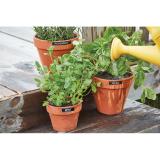 DYMO - LabelManager ™ 210D+ QWERTY Kitcase