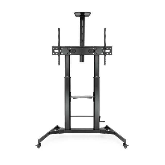 TooQ - ZEUS 2,54 m (100") Negro