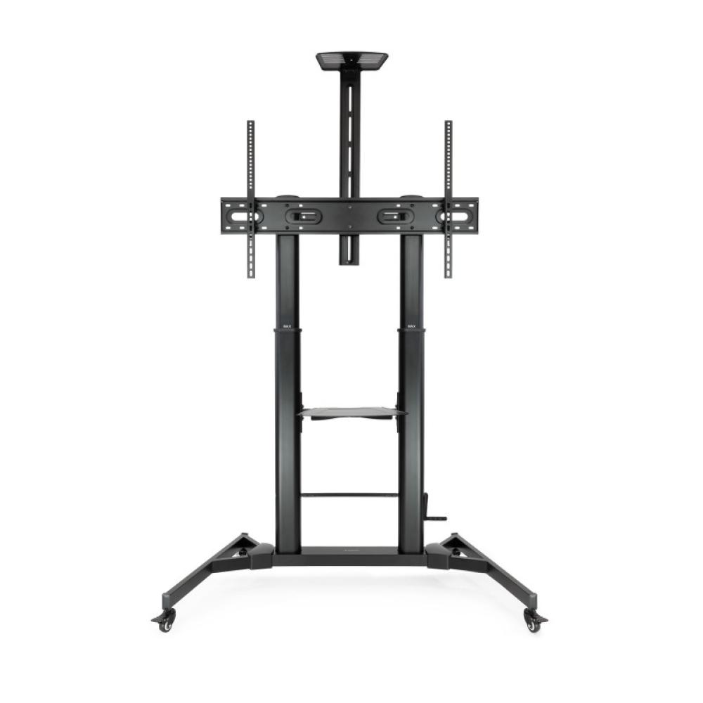 TooQ - ZEUS 2,54 m (100") Negro