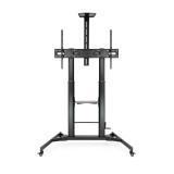 TooQ - ZEUS 2,54 m (100") Negro